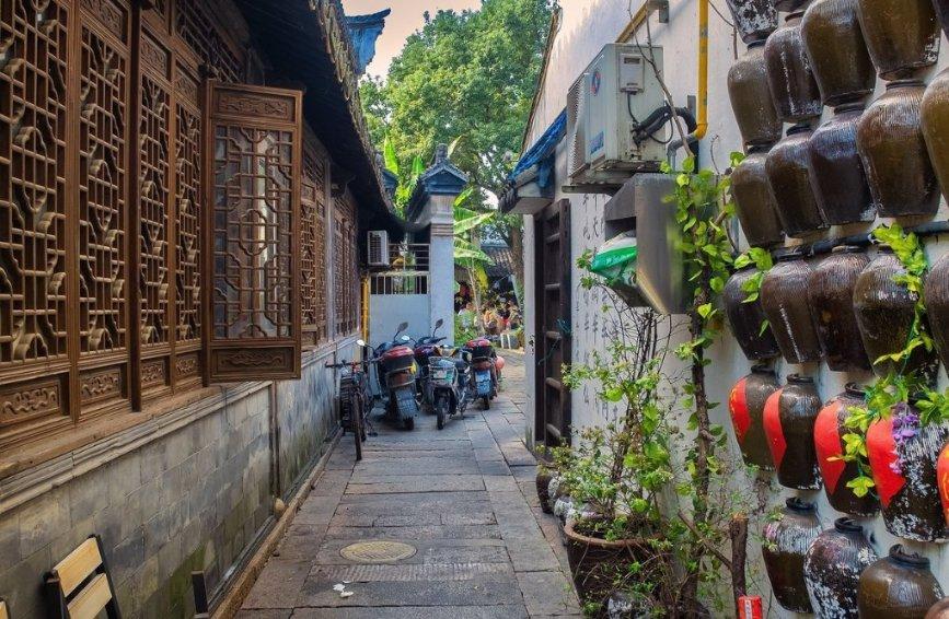 春雨直播app